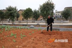 用实干担当为龙会寺社区绘就了一幅生态宜居、